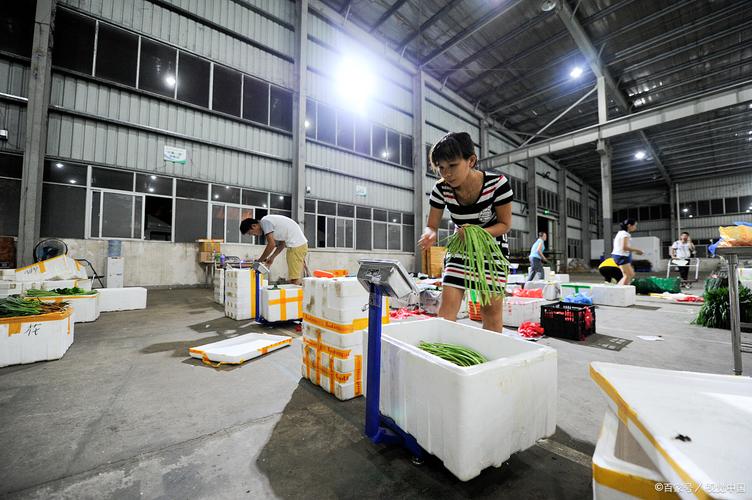西安蔬菜配送時間如何確定？蔬菜公司與基地食材采購的運作邏輯