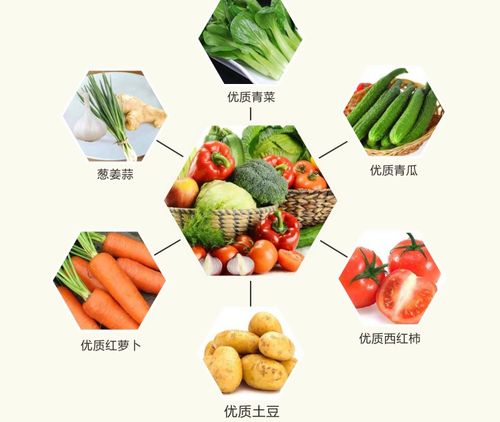 老西關(guān)食材產(chǎn)品系列 一站式采購，重溫地道廣府味